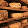 Cheese maturing on production shelves