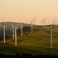 Wind turbines on a green field