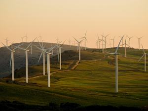 Wind turbines on a green field