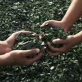 Hands holding recycled material