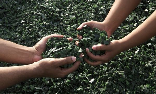 Hands holding recycled material