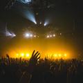 Crowd at a live concert event