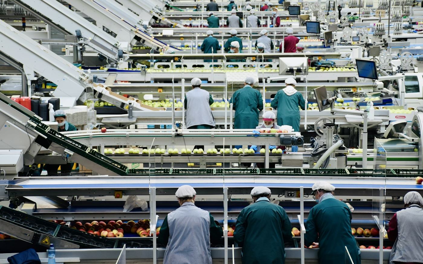 Team working in a production facility