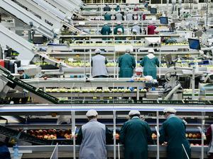 Team working in a production facility