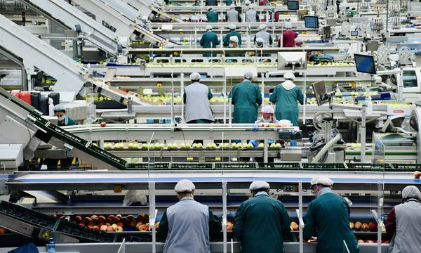 Team working in a production facility