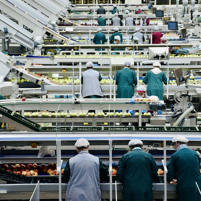 Team working in a production facility
