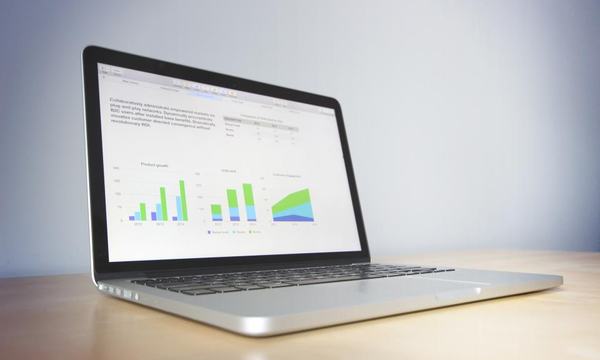 Laptop showing a report with charts